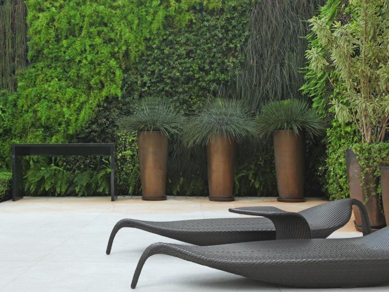 Jardim Vertical, tendência no mercado Paisagístico